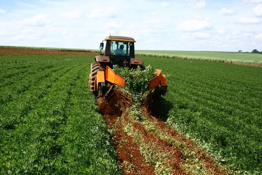 Agro brasileiro se beneficia com cotas do acordo Mercosul-UE