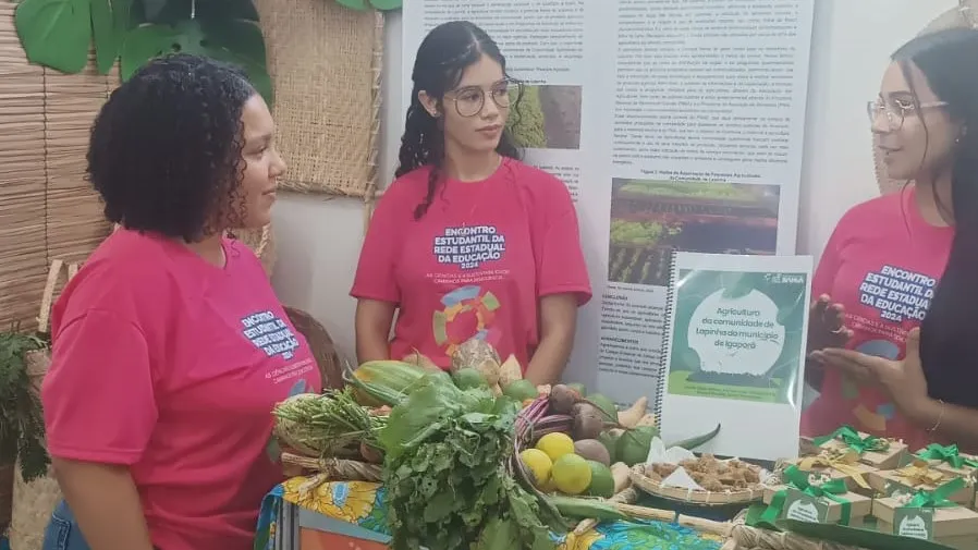Estudantes da Bahia conquistam prêmio nacional com projeto sobre agricultura sustentável