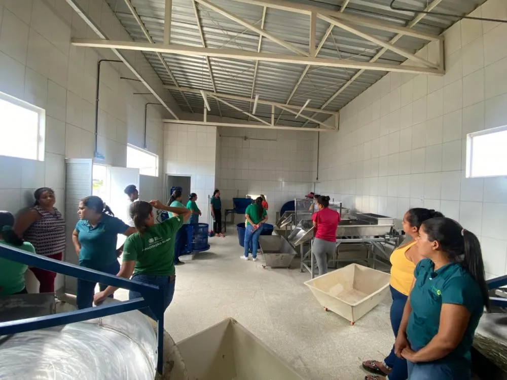 Alagoinhas - Capacitação de cooperados para funcionamento de agroindústria 