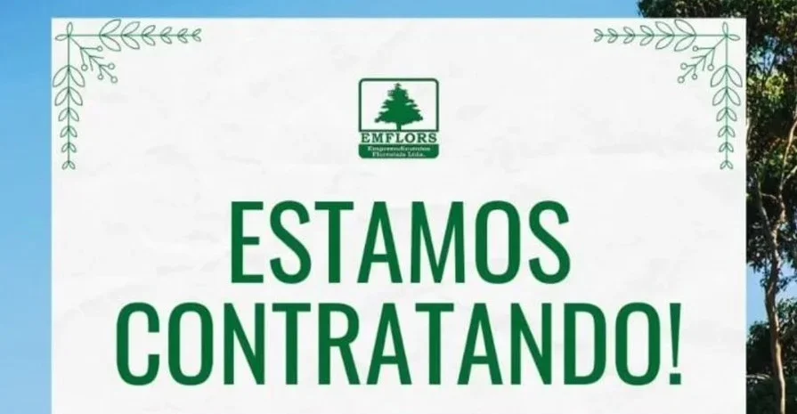 Emflors abre diversas vagas de emprego e estágio em Alagoinhas, BA e MS