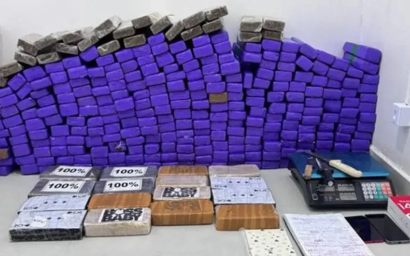 Bahia apreende 11 toneladas de drogas no primeiro semestre de 2025