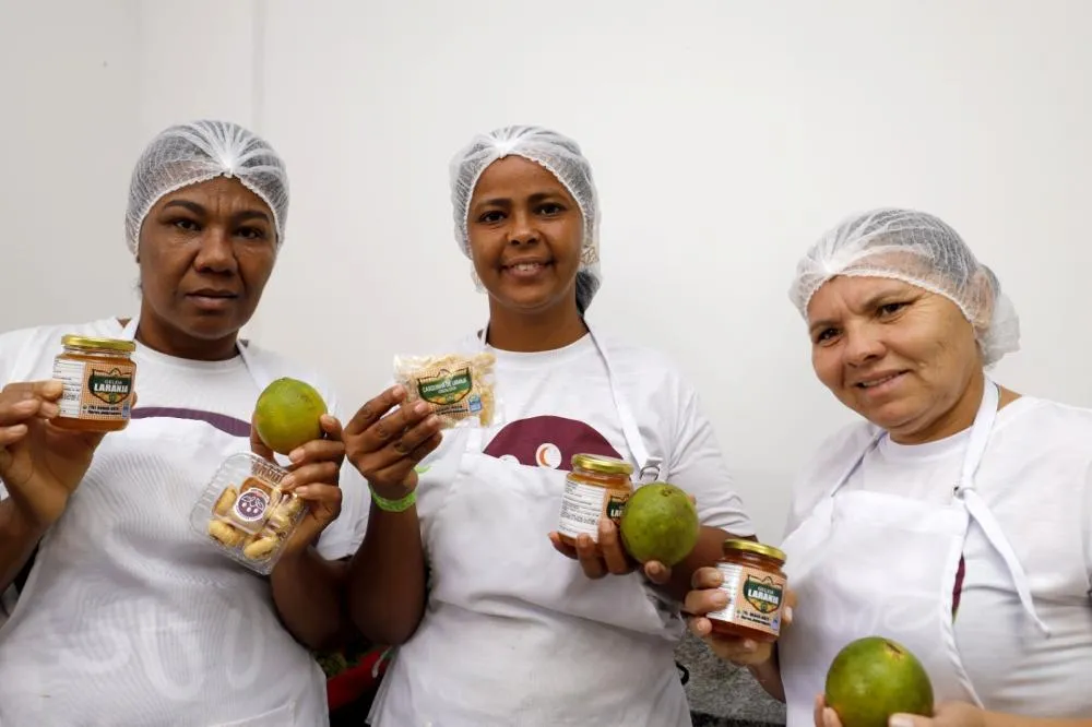 Rio Real recebe investimentos de mais de R$ 200 milhões em citricultura, saúde e saneamento